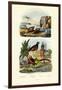 Pheasant, 1833-39-null-Framed Giclee Print