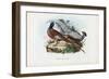 Pheasant, 1863-79-Raimundo Petraroja-Framed Giclee Print