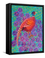 Pheasant, 2021, (oil on canvas)-Jane Tattersfield-Framed Stretched Canvas