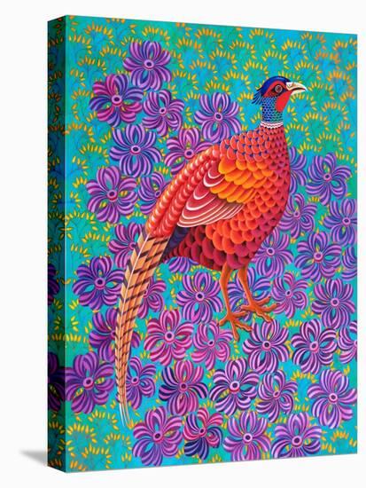 Pheasant, 2021, (oil on canvas)-Jane Tattersfield-Stretched Canvas