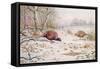 Pheasant and Partridge Eating-Carl Donner-Framed Stretched Canvas