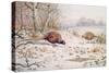 Pheasant and Partridge Eating-Carl Donner-Stretched Canvas
