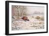 Pheasant and Partridge Eating-Carl Donner-Framed Giclee Print