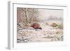 Pheasant and Partridge Eating-Carl Donner-Framed Giclee Print