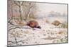 Pheasant and Partridge Eating-Carl Donner-Mounted Giclee Print