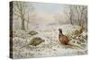 Pheasant and Partridges in a Snowy Landscape-Carl Donner-Stretched Canvas