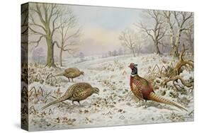 Pheasant and Partridges in a Snowy Landscape-Carl Donner-Stretched Canvas