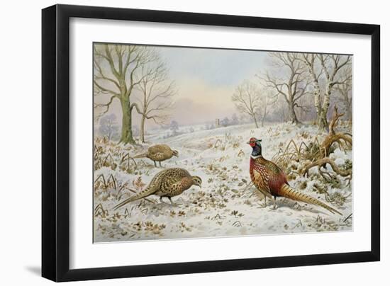 Pheasant and Partridges in a Snowy Landscape-Carl Donner-Framed Giclee Print