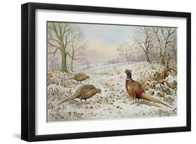 Pheasant and Partridges in a Snowy Landscape-Carl Donner-Framed Giclee Print