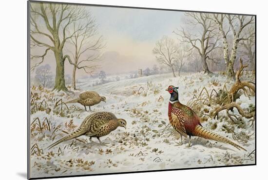 Pheasant and Partridges in a Snowy Landscape-Carl Donner-Mounted Giclee Print