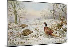 Pheasant and Partridges in a Snowy Landscape-Carl Donner-Mounted Giclee Print