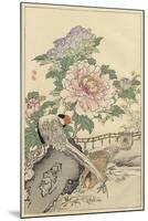 Pheasant and Peony-Bairei-Mounted Art Print