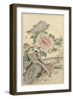 Pheasant and Peony-Bairei-Framed Art Print