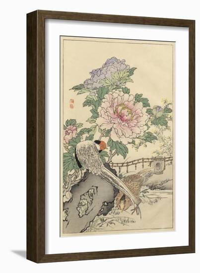 Pheasant and Peony-Bairei-Framed Art Print