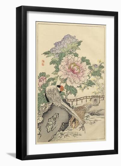 Pheasant and Peony-Bairei-Framed Art Print