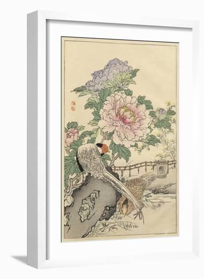 Pheasant and Peony-Bairei-Framed Art Print