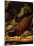 Pheasant and Woodcock, from Trophée De Chasse, or Hunting Trophies, 1862, Detail-Claude Monet-Mounted Giclee Print