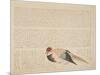 Pheasant, C.1818-29-null-Mounted Giclee Print