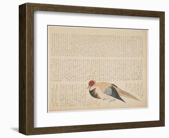 Pheasant, C.1818-29-null-Framed Giclee Print