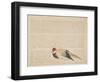 Pheasant, C.1818-29-null-Framed Giclee Print