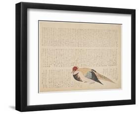 Pheasant, C.1818-29-null-Framed Premium Giclee Print