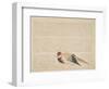 Pheasant, C.1818-29-null-Framed Premium Giclee Print