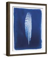 Pheasant Feather-Sarah Cheyne-Framed Giclee Print