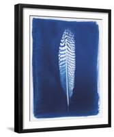 Pheasant Feather-Sarah Cheyne-Framed Giclee Print