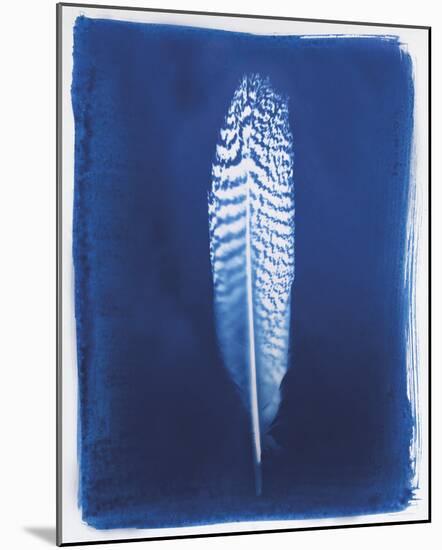 Pheasant Feather-Sarah Cheyne-Mounted Giclee Print