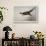 Pheasant, France, 20th Century-null-Framed Giclee Print displayed on a wall