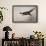Pheasant, France, 20th Century-null-Framed Giclee Print displayed on a wall