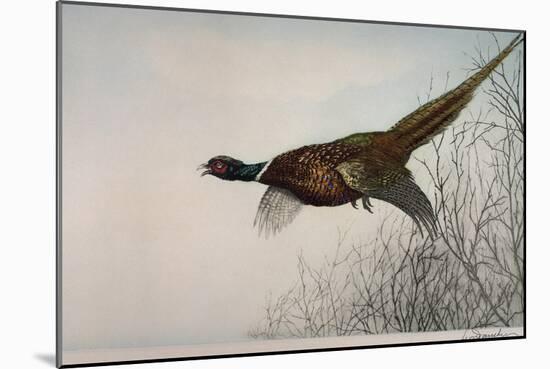 Pheasant, France, 20th Century-null-Mounted Giclee Print