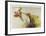 Pheasant Hunt-Allan Mardon-Framed Limited Edition