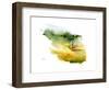 Pheasant in Flight, 2015-John Keeling-Framed Giclee Print