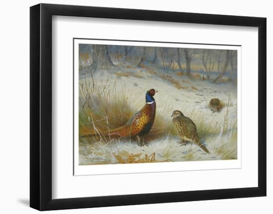 Pheasant in Winter-Archibald Thorburn-Framed Premium Giclee Print