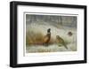 Pheasant in Winter-Archibald Thorburn-Framed Premium Giclee Print