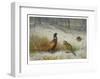 Pheasant in Winter-Archibald Thorburn-Framed Premium Giclee Print
