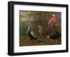 Pheasant, Macaw, Monkey, Parrots and Tortoise-Charles Collins-Framed Giclee Print