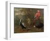 Pheasant, Macaw, Monkey, Parrots and Tortoise-Charles Collins-Framed Giclee Print