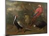 Pheasant, Macaw, Monkey, Parrots and Tortoise-Charles Collins-Mounted Giclee Print