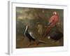 Pheasant, Macaw, Monkey, Parrots and Tortoise-Charles Collins-Framed Giclee Print