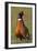 Pheasant Male, Cock on Fallow Land-null-Framed Photographic Print