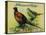 Pheasant Ridge Apple Crate Label - San Francisco, CA-Lantern Press-Stretched Canvas