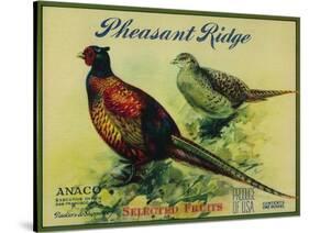 Pheasant Ridge Apple Crate Label - San Francisco, CA-Lantern Press-Stretched Canvas