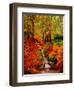 Pheasant Road-Bonnie B. Cook-Framed Premium Giclee Print