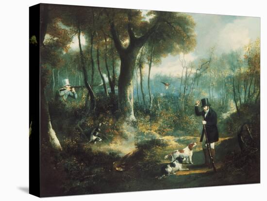 Pheasant Shooting in the Forest-S .j .e . Jones-Stretched Canvas