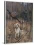 Pheasant Shooting, Old Style-G. Denholm-Stretched Canvas