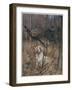 Pheasant Shooting, Old Style-G. Denholm-Framed Art Print