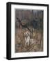 Pheasant Shooting, Old Style-G. Denholm-Framed Art Print