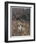 Pheasant Shooting, Old Style-G. Denholm-Framed Art Print